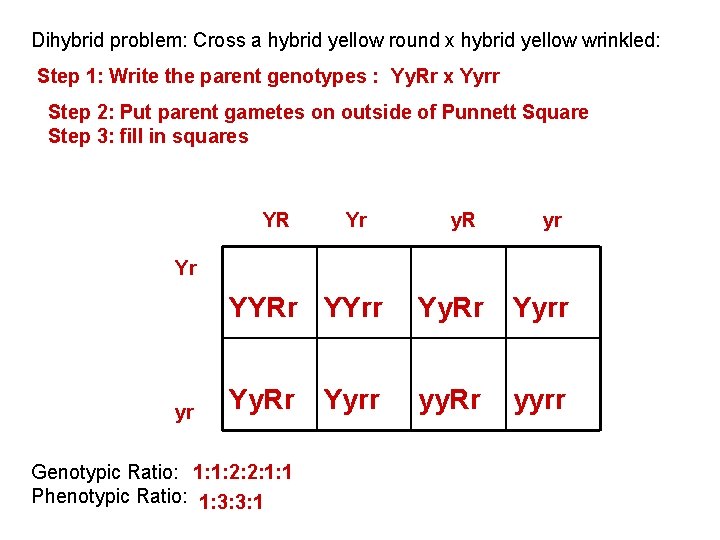 Dihybrid problem: Cross a hybrid yellow round x hybrid yellow wrinkled: Step 1: Write