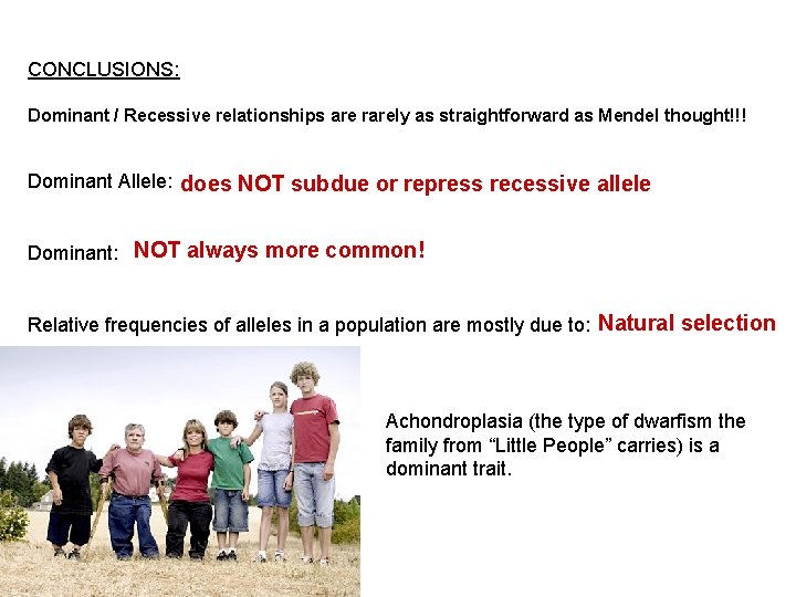 CONCLUSIONS: Dominant / Recessive relationships are rarely as straightforward as Mendel thought!!! Dominant Allele: