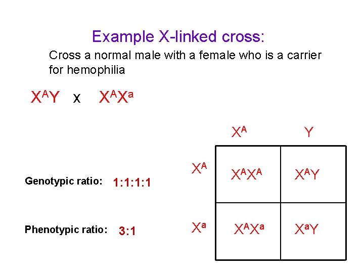 Example X-linked cross: Cross a normal male with a female who is a carrier