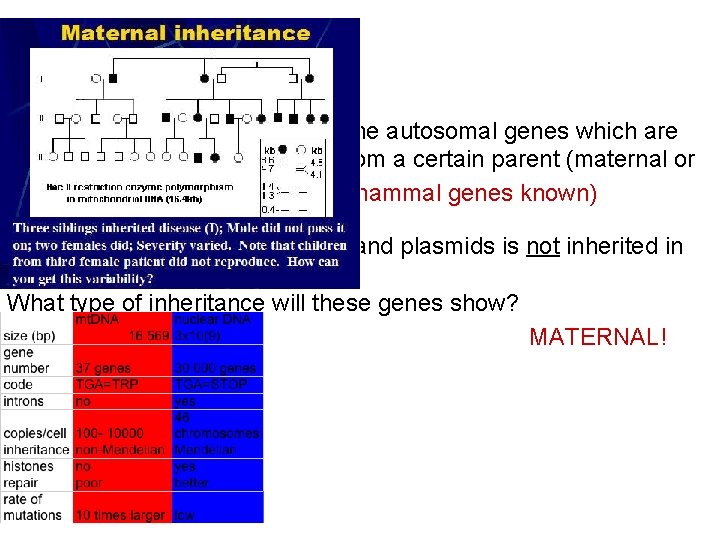 Two final Notes: (1)Genomic Imprinting refers to the autosomal genes which are only expressed