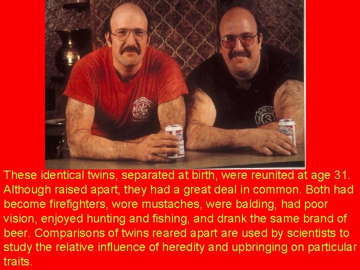 These identical twins, separated at birth, were reunited at age 31. Although raised apart,