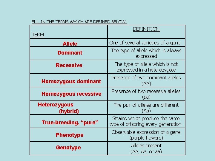 FILL IN THE TERMS WHICH ARE DEFINED BELOW: DEFINITION TERM Allele One of several