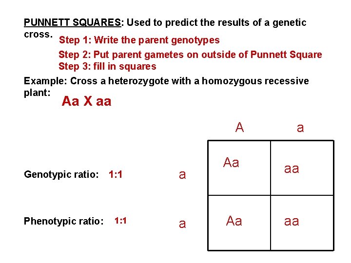 PUNNETT SQUARES: Used to predict the results of a genetic cross. Step 1: Write