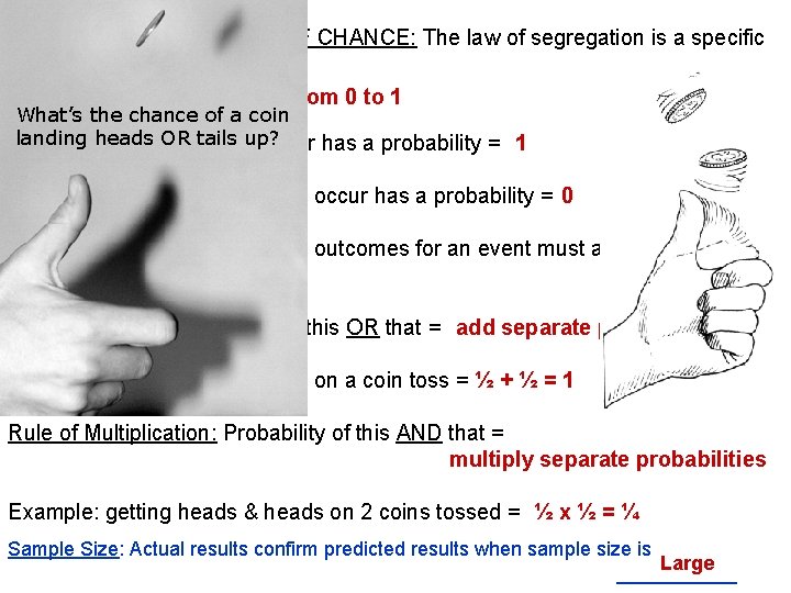 INHERITANCE IS A GAME OF CHANCE: The law of segregation is a specific example