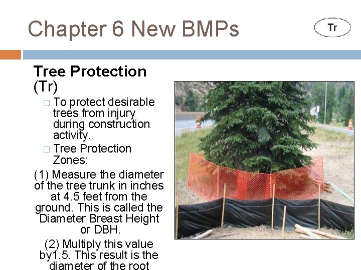 Chapter 6 New BMPs Tree Protection (Tr) To protect desirable trees from injury during