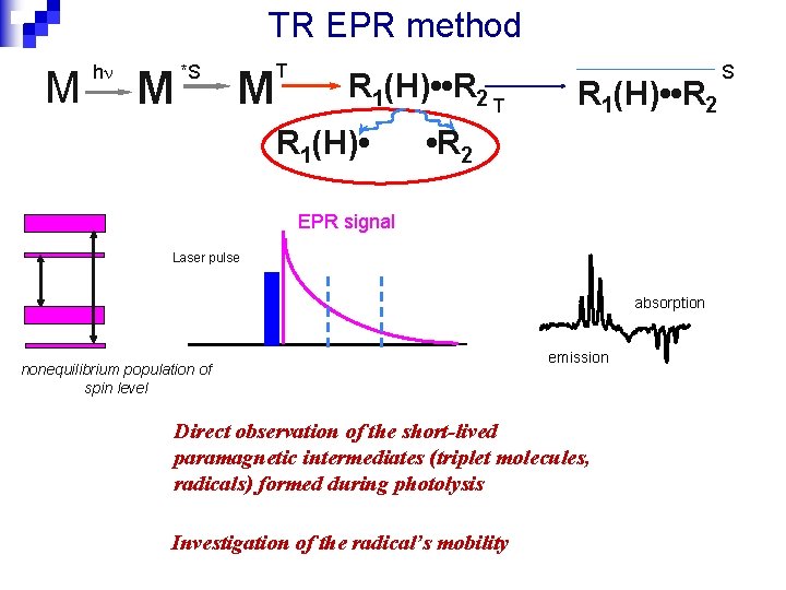 TR EPR method M h M *S T M R 1(H) • • R