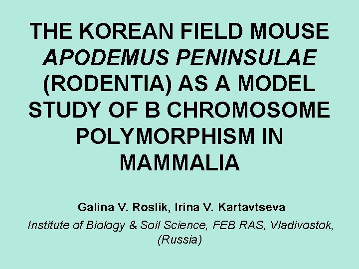 THE KOREAN FIELD MOUSE APODEMUS PENINSULAE (RODENTIA) AS A MODEL STUDY OF B CHROMOSOME