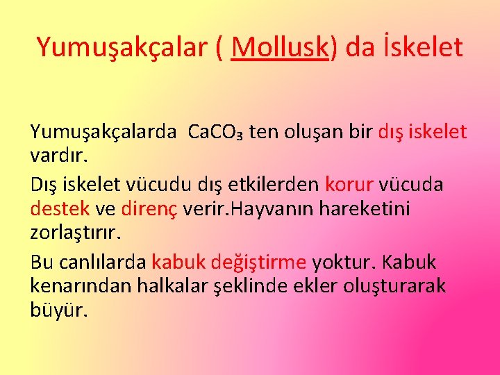 Yumuşakçalar ( Mollusk) da İskelet Yumuşakçalarda Ca. CO₃ ten oluşan bir dış iskelet vardır.