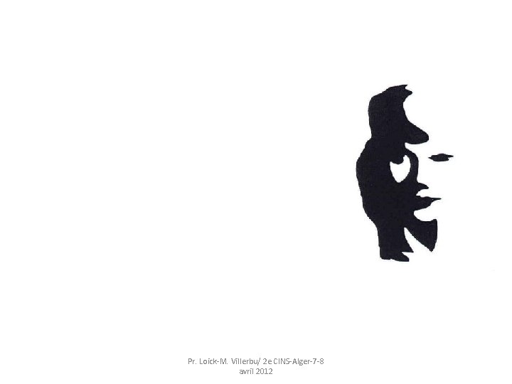Pr. Loick-M. Villerbu/ 2 e CINS-Alger-7 -8 avril 2012 