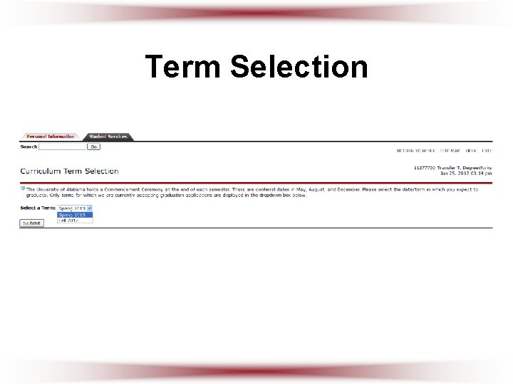 Term Selection 