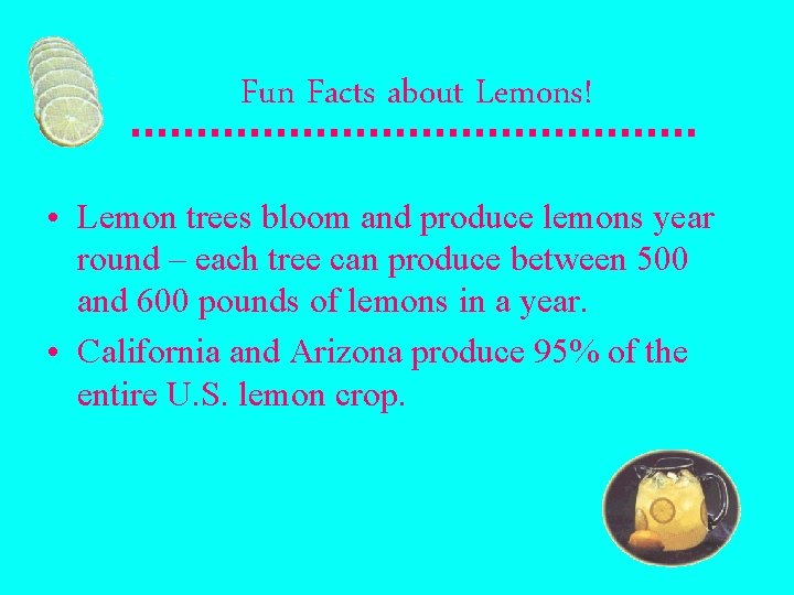 Fun Facts about Lemons! • Lemon trees bloom and produce lemons year round –