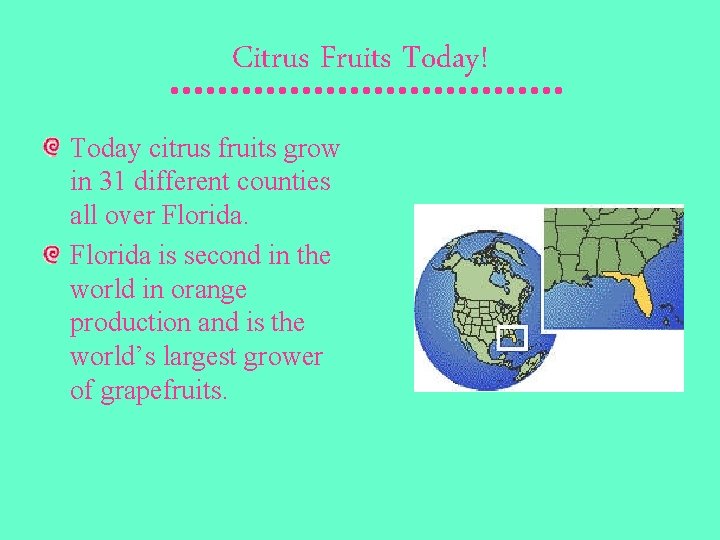 Citrus Fruits Today! Today citrus fruits grow in 31 different counties all over Florida