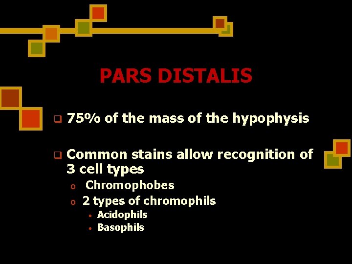 PARS DISTALIS q 75% of the mass of the hypophysis q Common stains allow