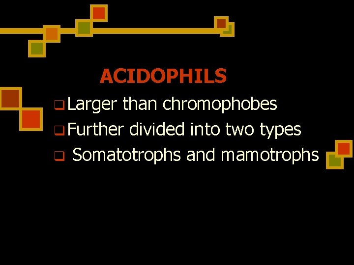 ACIDOPHILS q Larger than chromophobes q Further divided into two types q Somatotrophs and