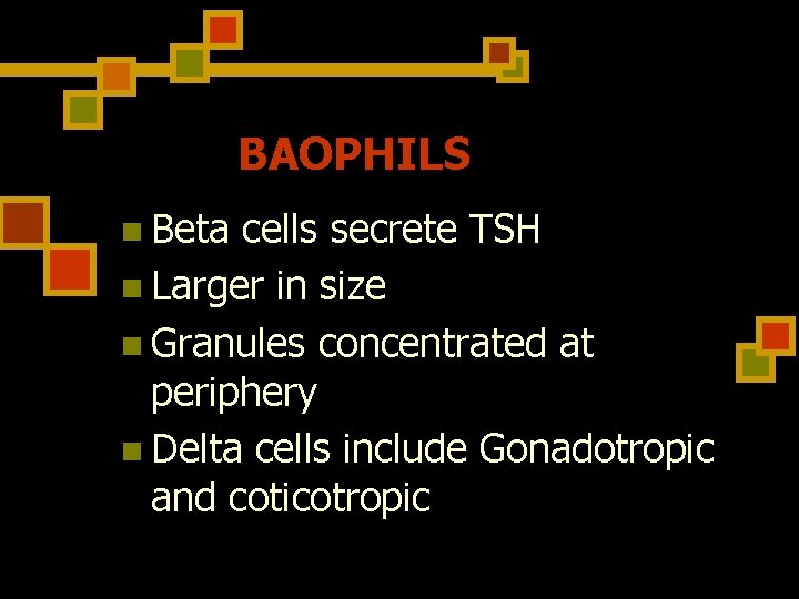 BAOPHILS n Beta cells secrete TSH n Larger in size n Granules concentrated at