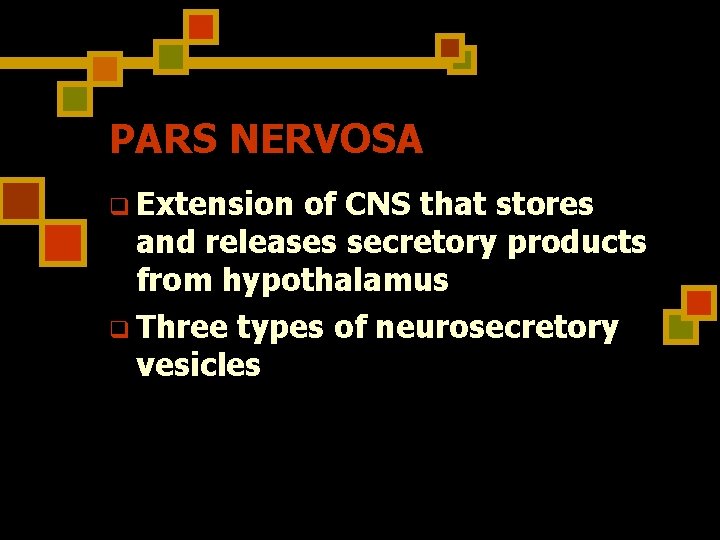 PARS NERVOSA q Extension of CNS that stores and releases secretory products from hypothalamus