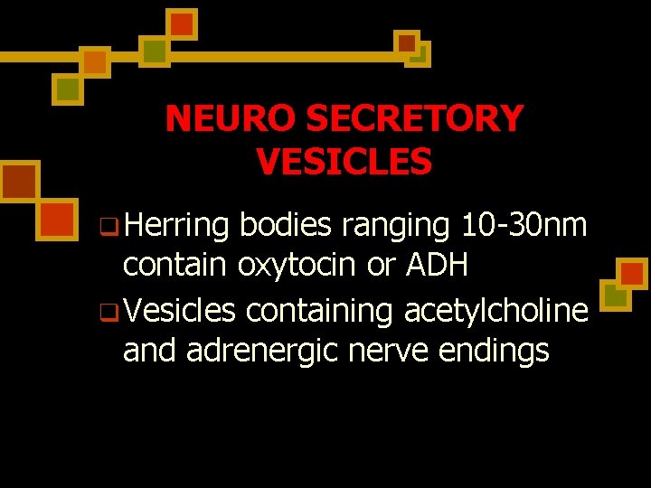 NEURO SECRETORY VESICLES q Herring bodies ranging 10 -30 nm contain oxytocin or ADH