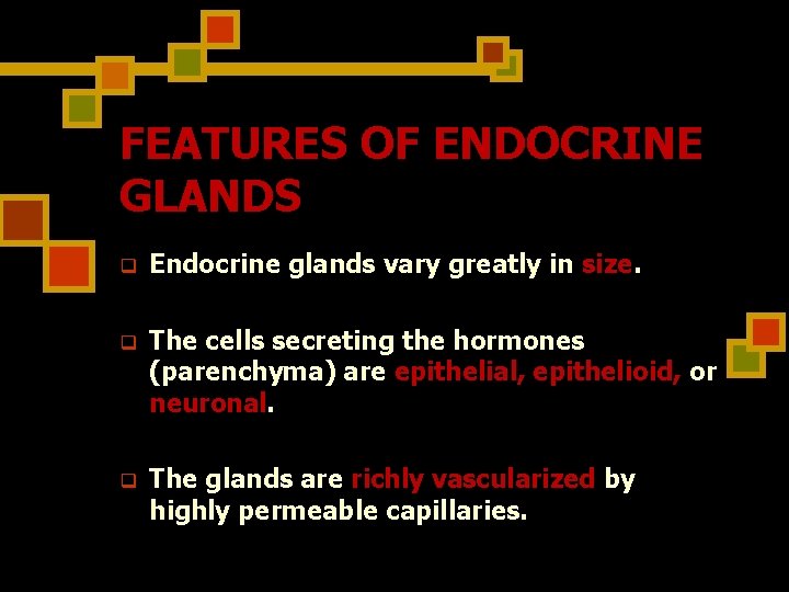 FEATURES OF ENDOCRINE GLANDS q Endocrine glands vary greatly in size. q The cells