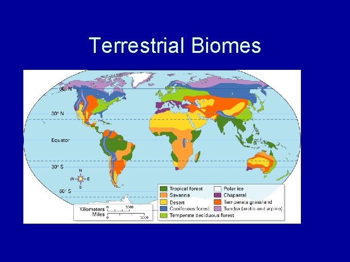 Terrestrial Biomes 