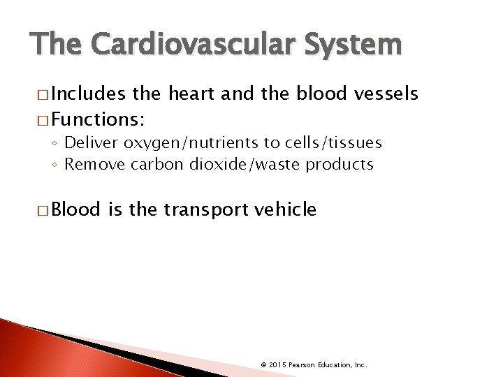 The Cardiovascular System � Includes the heart and the blood vessels � Functions: ◦