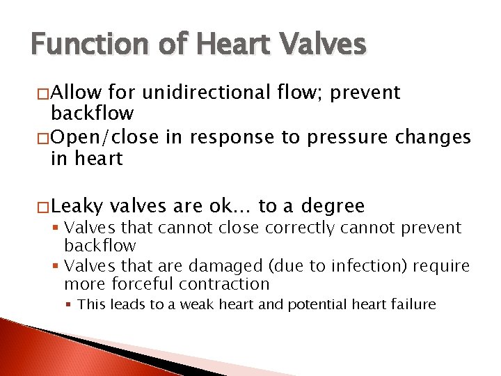 Function of Heart Valves � Allow for unidirectional flow; prevent backflow � Open/close in