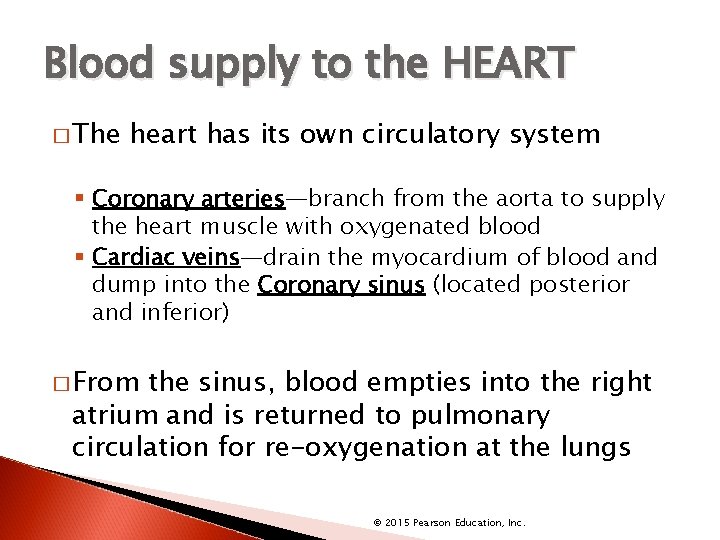 Blood supply to the HEART � The heart has its own circulatory system §