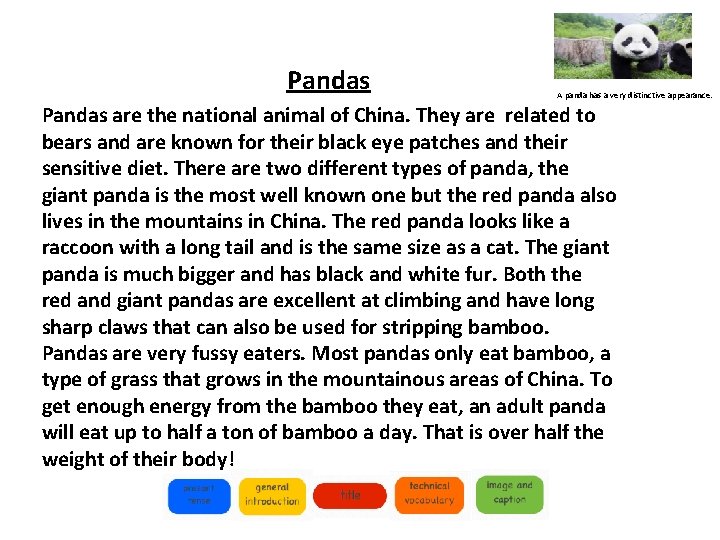 Pandas A panda has a very distinctive appearance. Pandas are the national animal of