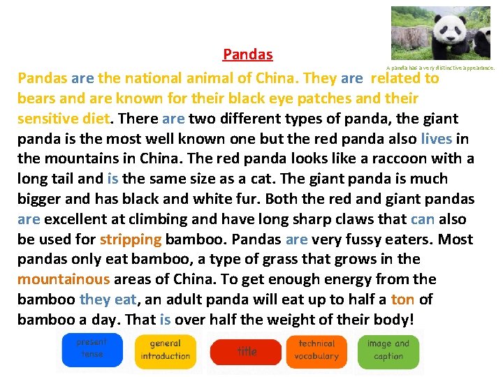 Pandas are the national animal of China. They are related to bears and are