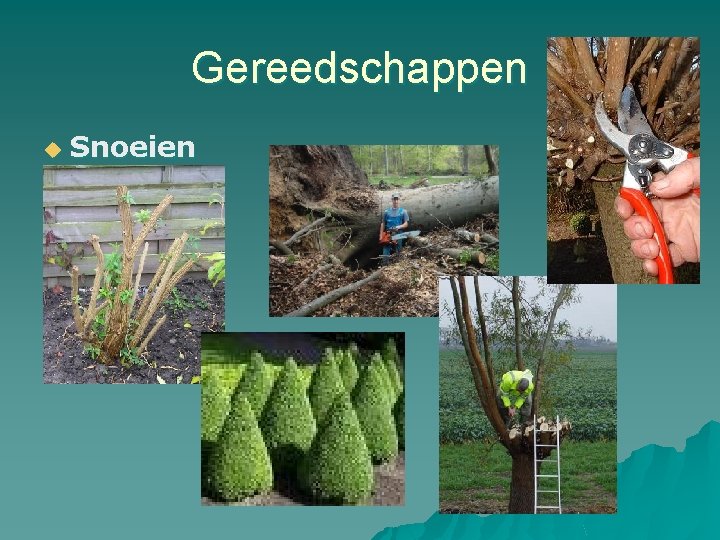 Gereedschappen u Snoeien 