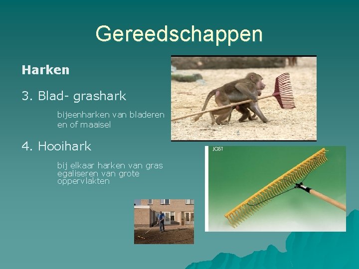 Gereedschappen Harken 3. Blad- grashark bijeenharken van bladeren en of maaisel 4. Hooihark bij