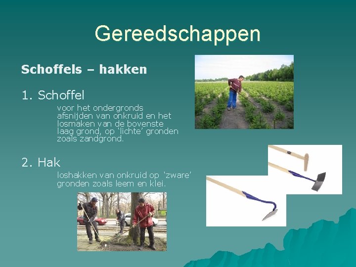 Gereedschappen Schoffels – hakken 1. Schoffel voor het ondergronds afsnijden van onkruid en het