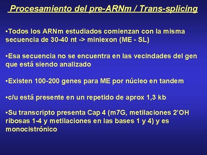 Procesamiento del pre-ARNm / Trans-splicing • Todos los ARNm estudiados comienzan con la misma