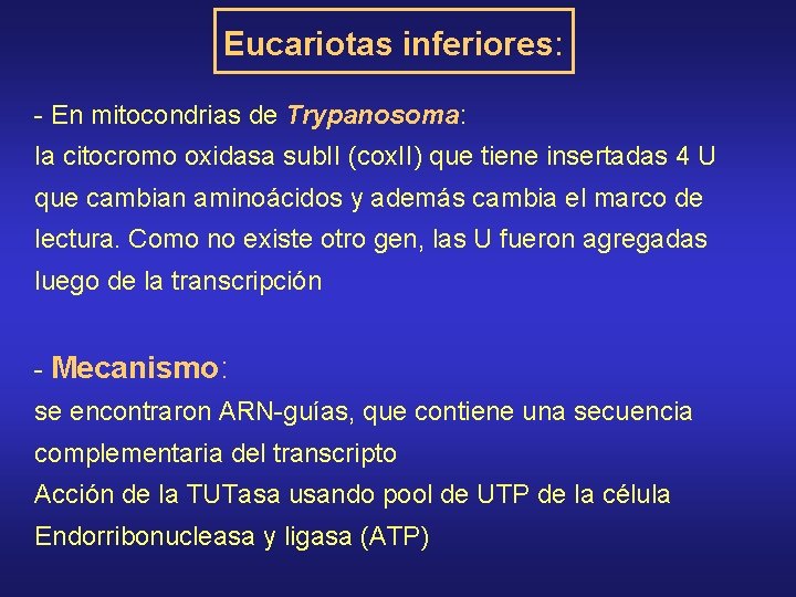 Eucariotas inferiores: - En mitocondrias de Trypanosoma: la citocromo oxidasa sub. II (cox. II)