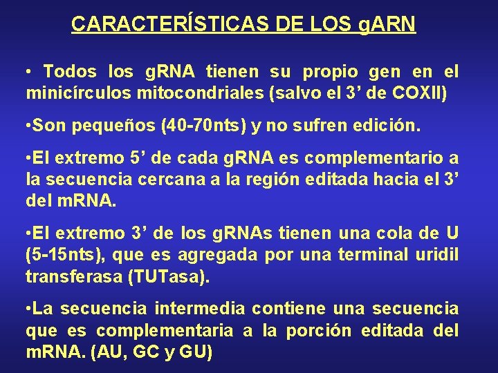 CARACTERÍSTICAS DE LOS g. ARN • Todos los g. RNA tienen su propio gen