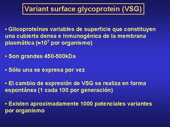 Variant surface glycoprotein (VSG) • Glicoproteínas variables de superficie que constituyen una cubierta densa