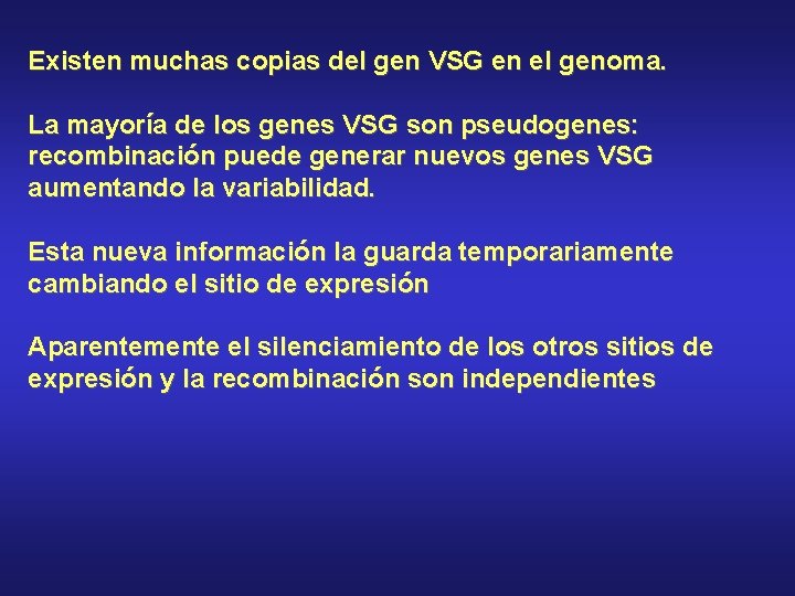 Existen muchas copias del gen VSG en el genoma. La mayoría de los genes