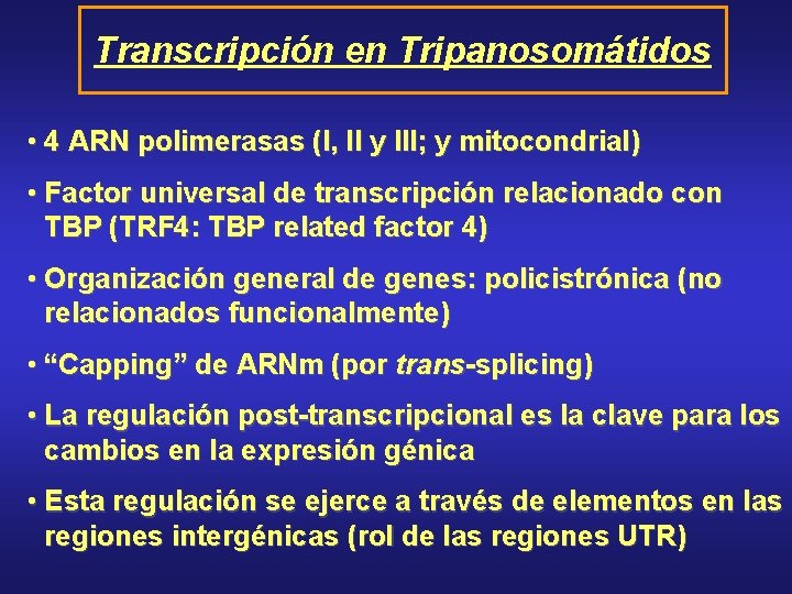 Transcripción en Tripanosomátidos • 4 ARN polimerasas (I, II y III; y mitocondrial) •