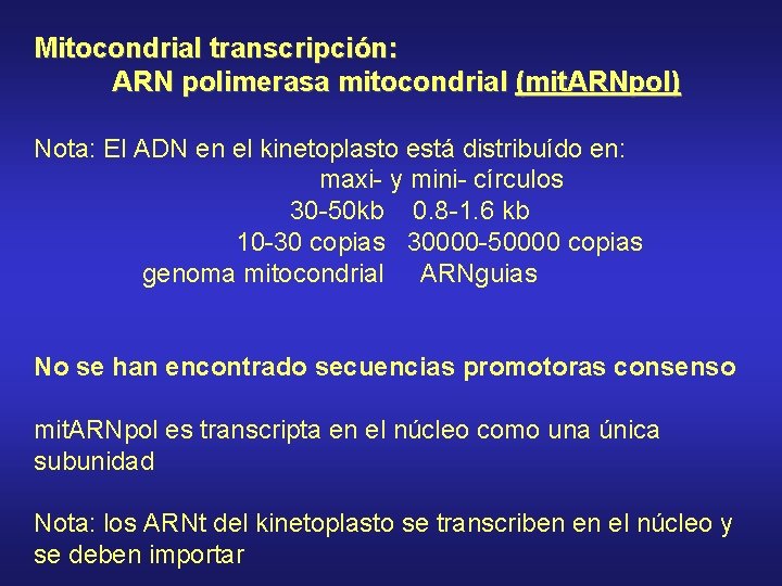 Mitocondrial transcripción: ARN polimerasa mitocondrial (mit. ARNpol) Nota: El ADN en el kinetoplasto está