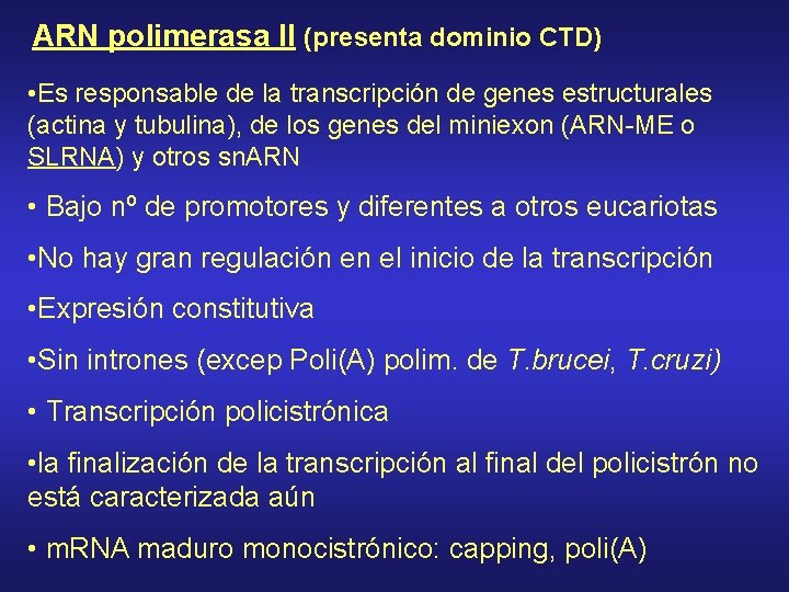 ARN polimerasa II (presenta dominio CTD) • Es responsable de la transcripción de genes