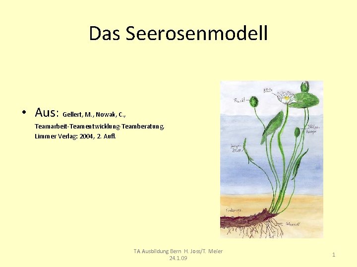 Das Seerosenmodell • Aus: Gellert, M. , Nowak, C. , Teamarbeit-Teamentwicklung-Teamberatung, Limmer Verlag: 2004,