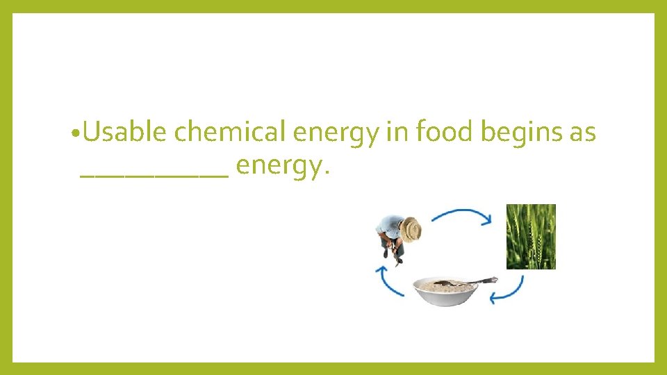  • Usable chemical energy in food begins as _____ energy. 