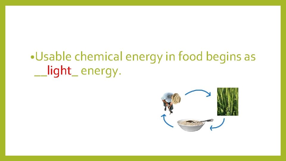  • Usable chemical energy in food begins as __light_ energy. 