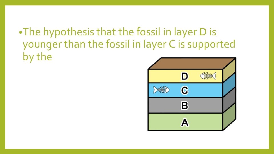  • The hypothesis that the fossil in layer D is younger than the