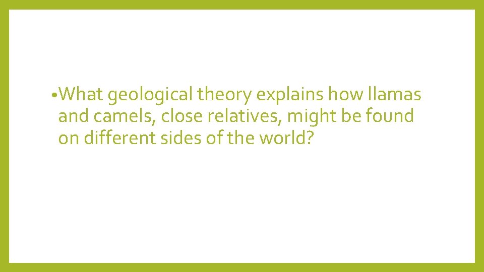  • What geological theory explains how llamas and camels, close relatives, might be