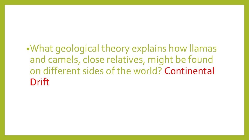  • What geological theory explains how llamas and camels, close relatives, might be