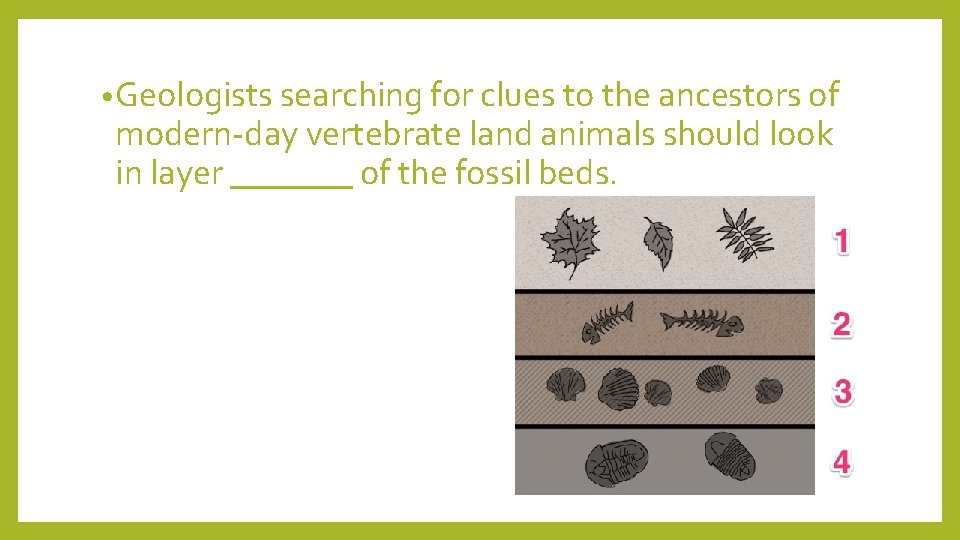  • Geologists searching for clues to the ancestors of modern-day vertebrate land animals