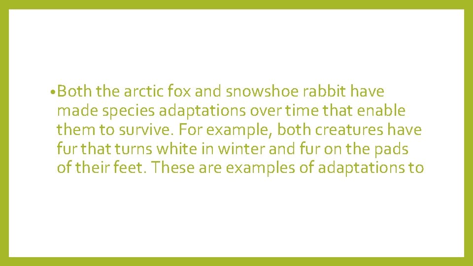  • Both the arctic fox and snowshoe rabbit have made species adaptations over