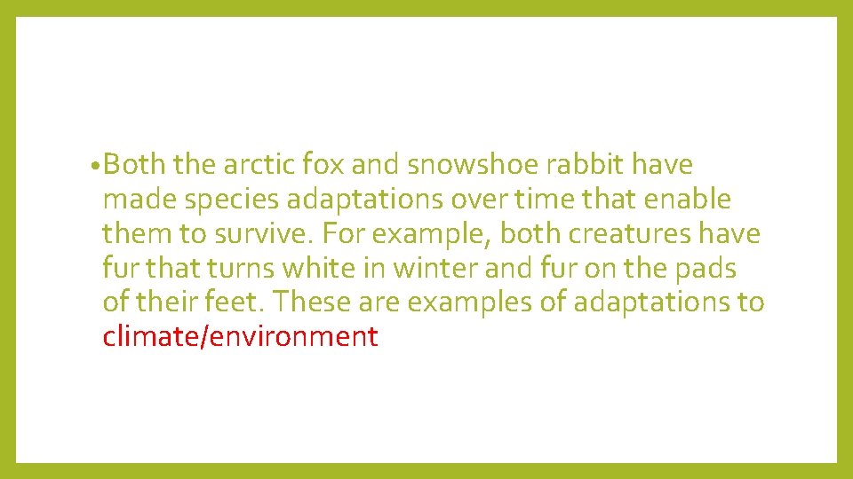  • Both the arctic fox and snowshoe rabbit have made species adaptations over