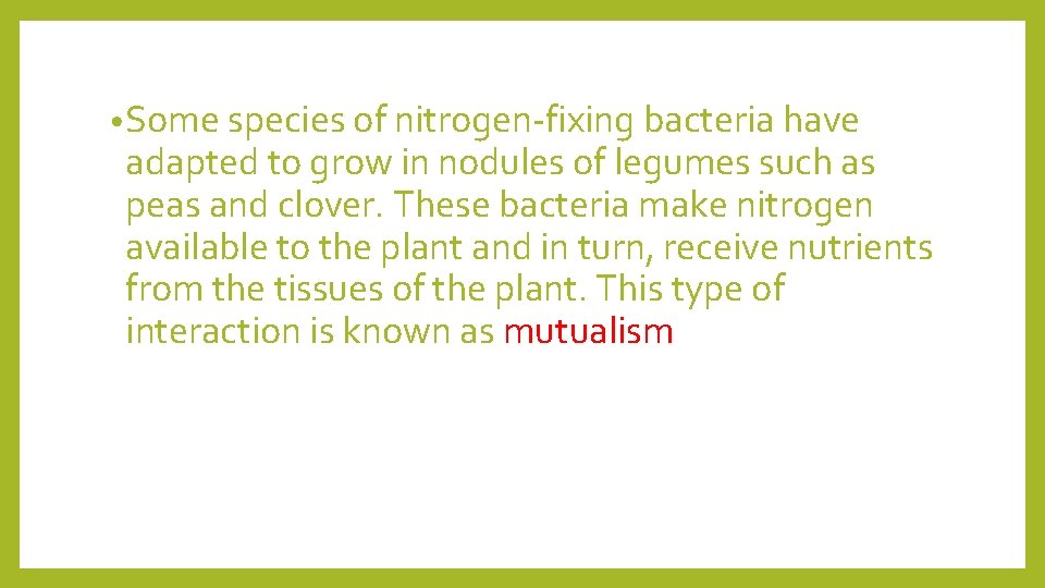  • Some species of nitrogen-fixing bacteria have adapted to grow in nodules of