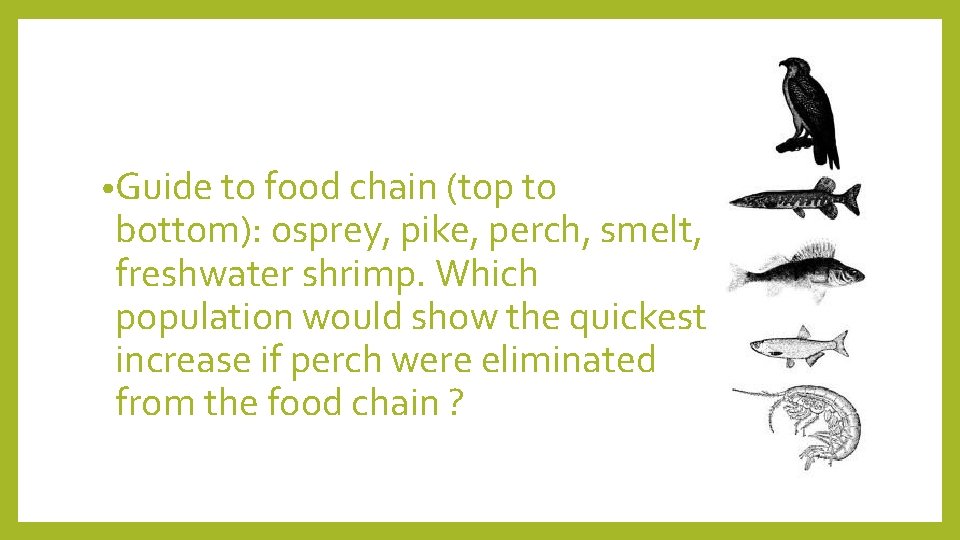  • Guide to food chain (top to bottom): osprey, pike, perch, smelt, freshwater